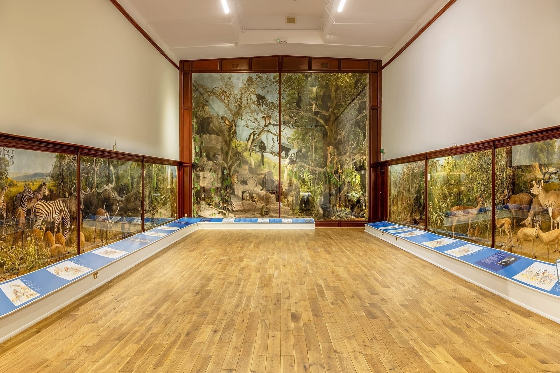 It's a little surreal at first. Photo: Powell-Cotten Museum Facebook