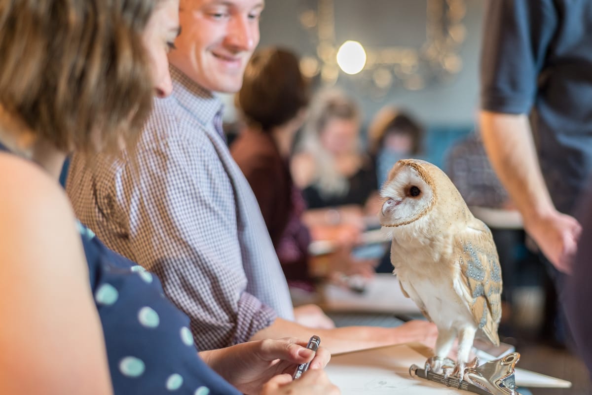 Incoming: Owls striking a pose and more