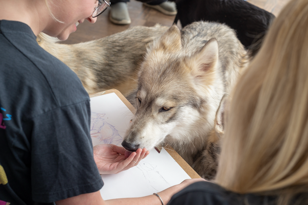 Incoming: Wild Life Drawing, Thanet Experimental, Seed Talks