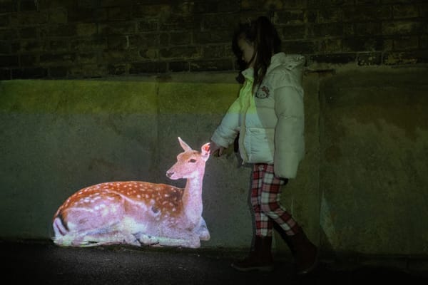 A girl pets a deer projected onto a wall